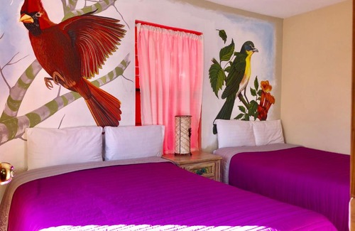 Cerocahui Hotel | Hotel JADE