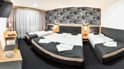 Mala Moravka Hotel | Hotel Kamzík *