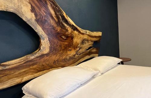 Tequila Hotel | Hotel La Bikina