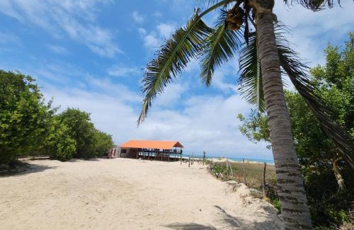 Puerto Villamil Hotel | Hotel La Jungla