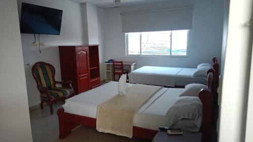 Acacias Casa | Hotel la mansión de acacias