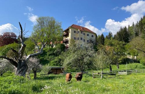 Neumarkt in Steiermark Hotel | Hotel Landsitz Pichlschloss