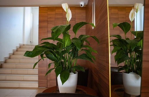 Wolomin Hotel | Hotel Livia