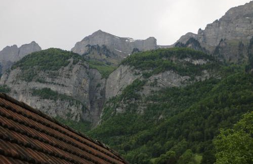 Walenstadt Hotel | Hotel Lowen