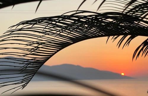 Radhime Hotel | Hotel Majestic