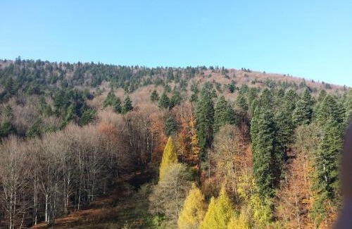 Sinaia Hotel | Hotel Mara