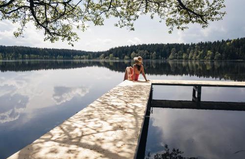 Frysava pod Zakovou horou Hotel | Hotel Medlov
