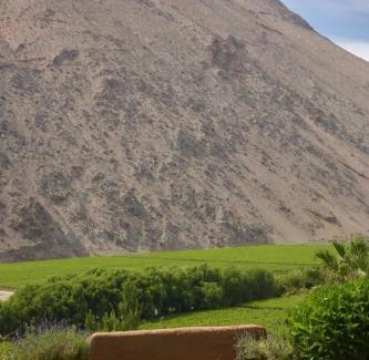 Pisco Elqui Cama Y Desayuno | Hotel Misterios del Elqui