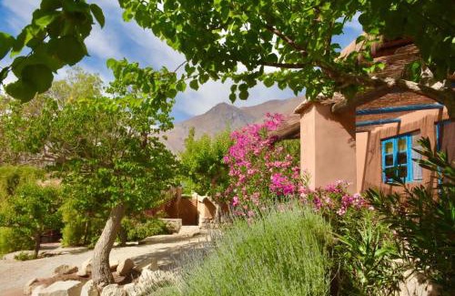 Pisco Elqui Cama Y Desayuno | Hotel Misterios del Elqui