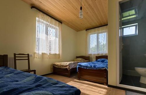 Gergeti Hotel | Hotel Nini