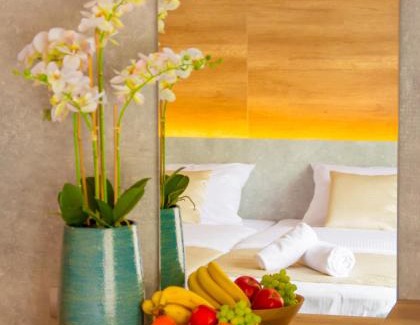 Vracar Hotel | Hotel Nota