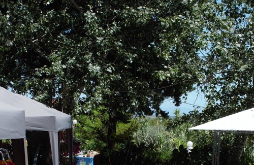 Salakos Casa | Nymph Boutique Hotel Salakos