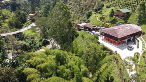 Jardin Hotel | Hotel Orillas del Pizano