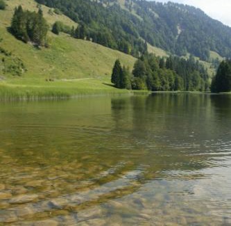 Hittisau Casa | Hotel OXA - Easy Escape