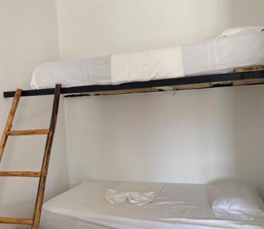 Palomino Hotel | hotel palmares beach