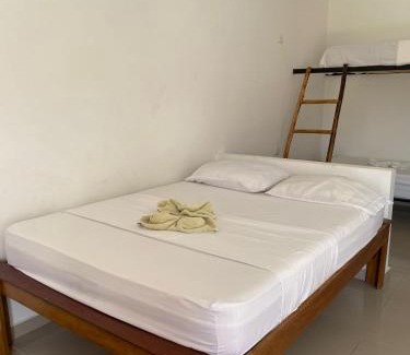 Palomino Hotel | hotel palmares beach