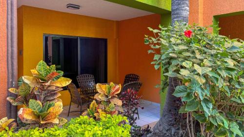 Los Barriles Complejo | Hotel Palmas De Cortez