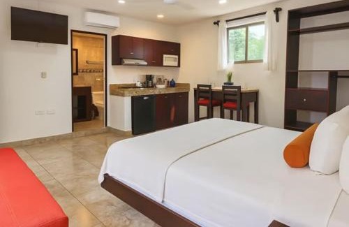 Centro Hotel | Hotel Papagayo