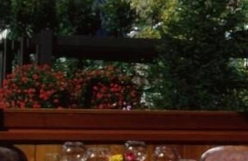 Courmayeur Hotel | Hotel Pavillon