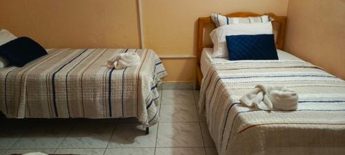 David Hotel | Hotel Pensión Galicia