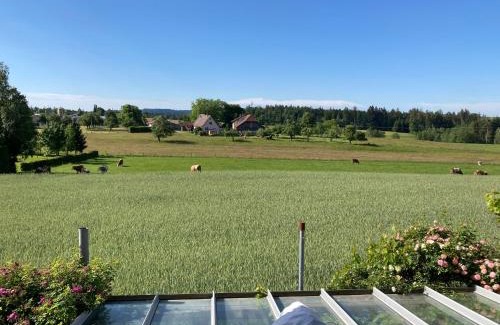 Mainhardt Hotel | Hotel-Pension-Waldblick