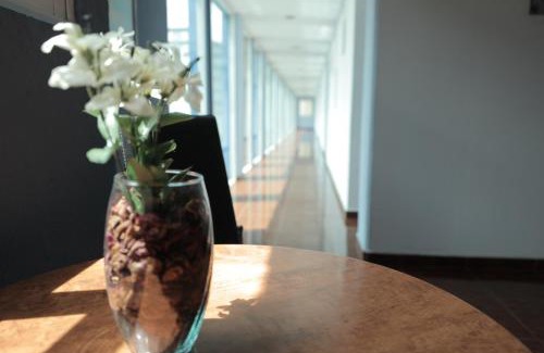 Narvarte Poniente Hotel | Hotel Plaza Delta