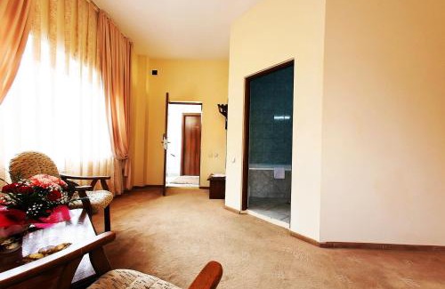 Cluj-Napoca Hotel | Hotel Premier