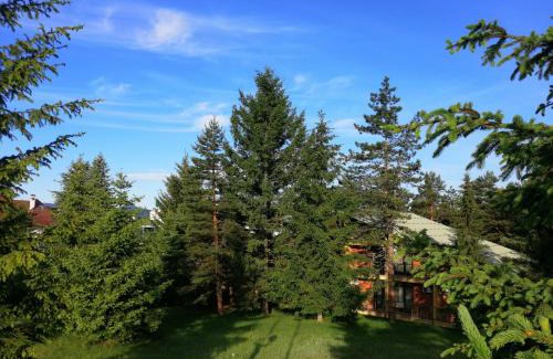 Zlatibor Hotel | Hotel President garni