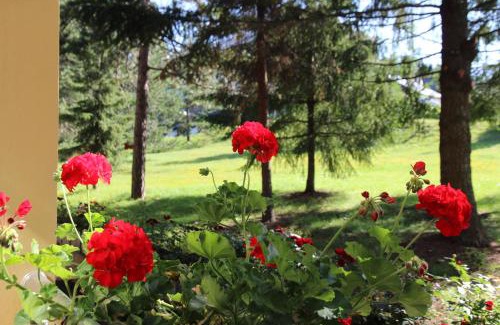 Zlatibor Hotel | Hotel President garni