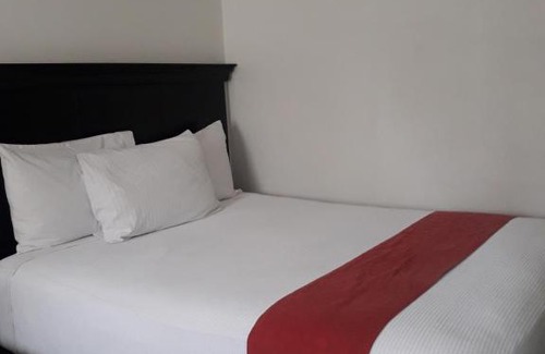 Tampico Hotel | Hotel Puerta del Mar