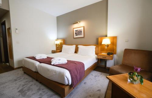 Castelo Branco Hotel | Hotel Rainha D. Amélia, Arts & Leisure