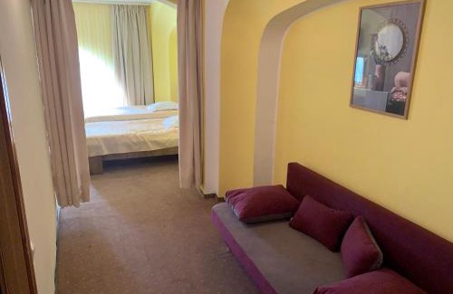 Botosani Hotel | Hotel Rares