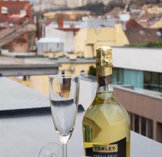 Vizivaros Hotel | Hotel Regnum Residence