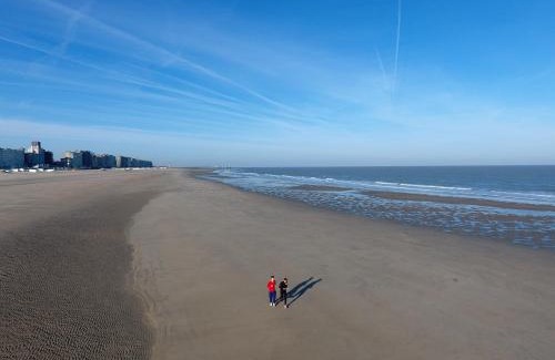 Blankenberge Hotel | Hotel Riant-Séjour by WP Hotels