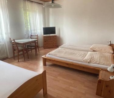 Hoehr-Grenzhausen Hotel | Hotel Ristorante Lucania bei Gerardo