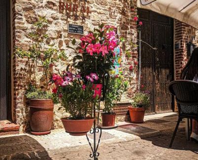 Chillon Hotel | HOTEL RURAL TOCAMPAVI