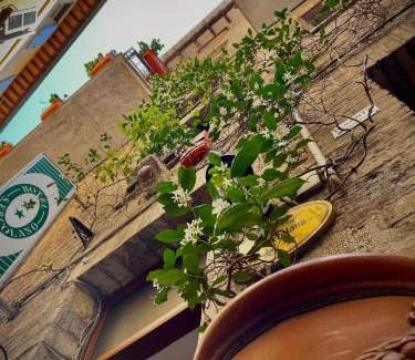 Old Town Hotel | Hotel S. Ercolano