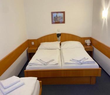 Branik Casa | Hotel Sanssouci