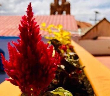 Potosi Hotel | Hotel Santa Teresa