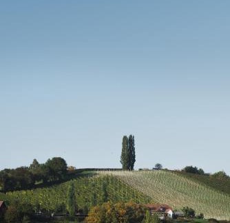 Straden Hotel | Hotel Saziani