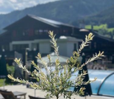 Bramberg am Wildkogel Hotel | Hotel Senningerbräu