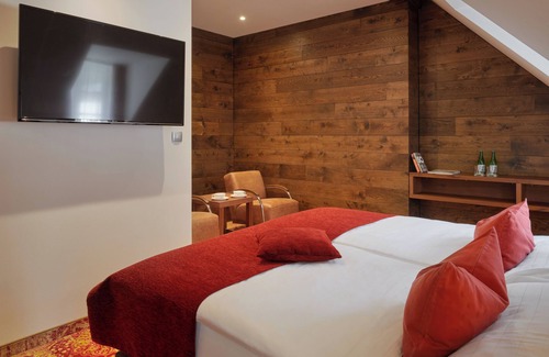Ludvikov Hotel | Hotel Singer