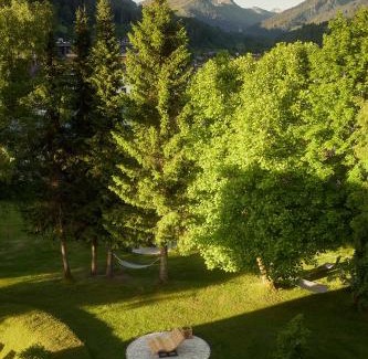 Kirchberg in Tirol Hotel | Hotel Sonnalp