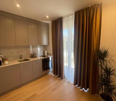 Fischingen Apartamento | Hotel Swiss Bellevue Oberwangen