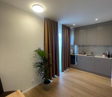 Fischingen Apartamento | Hotel Swiss Bellevue Oberwangen