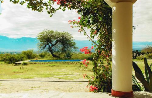Cafayate Cama Y Desayuno | Hotel Texas