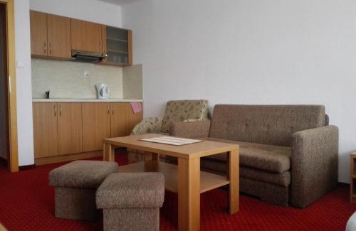 Strbske Pleso Hotel | Hotel Toliar & wellness