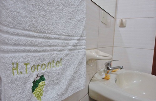 Ica Hotel | Hotel Torontel