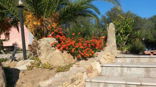 Olbia Hotel | Hotel Turismo Rurale Montitundu