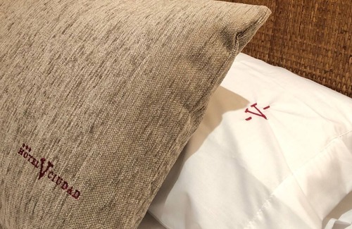 Aranda de Duero Hotel | Hotel V Ciudad